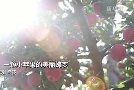 美丽啪苹果版苹果应用商城下载-第1张图片-太平洋在线下载