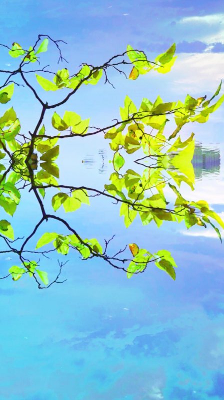 彩铃大全手机版(手机彩铃大全试听)-第4张图片-QuickQ官网 彩铃大全手机版(手机彩铃大全试听)-第4张图片-QuickQ官网