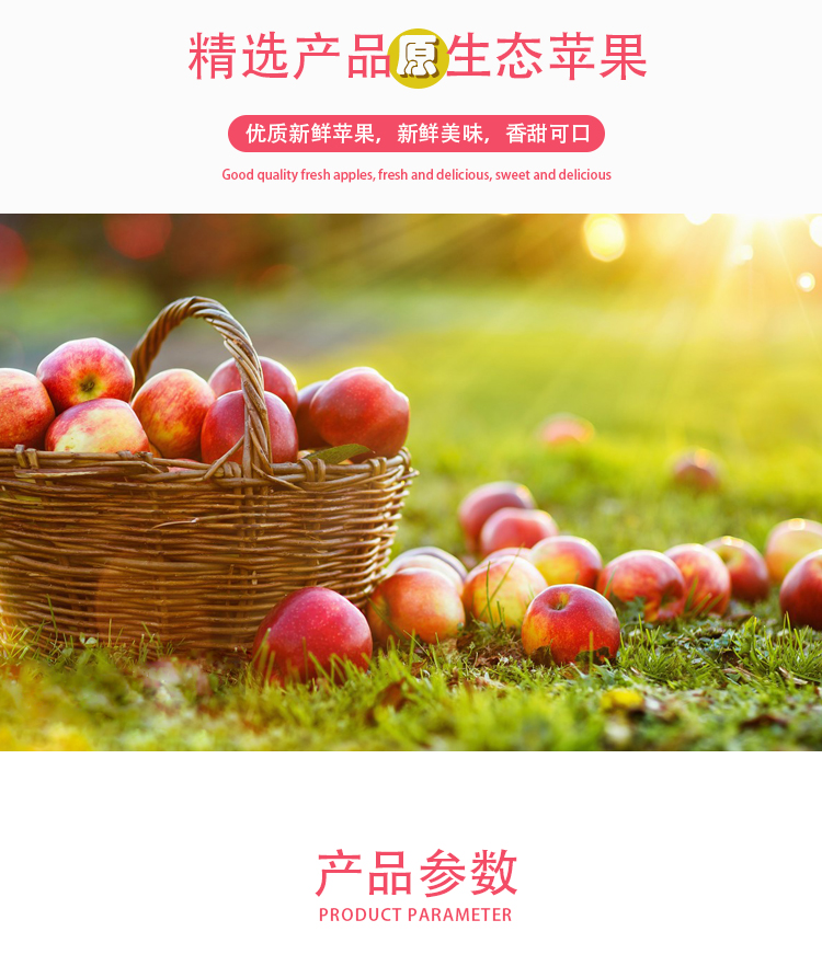 浓缩版苹果(浓缩苹果汁功效与作用)