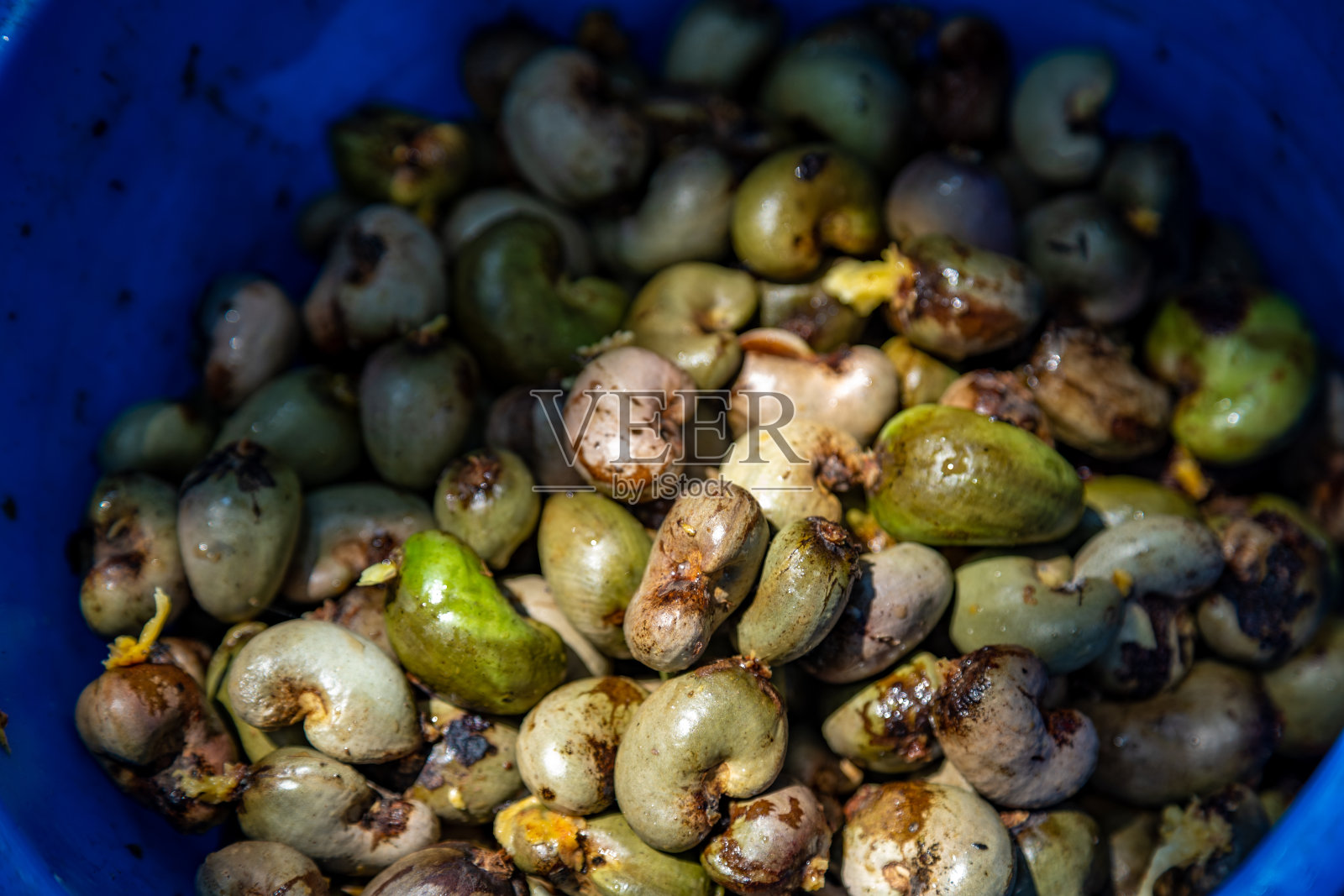 腰果苹果版(腰果影视安卓版下载)-第4张图片-QuickQ官网