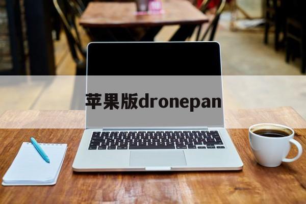 苹果版dronepan(苹果downloadapp下载)-第4张图片-QuickQ官网