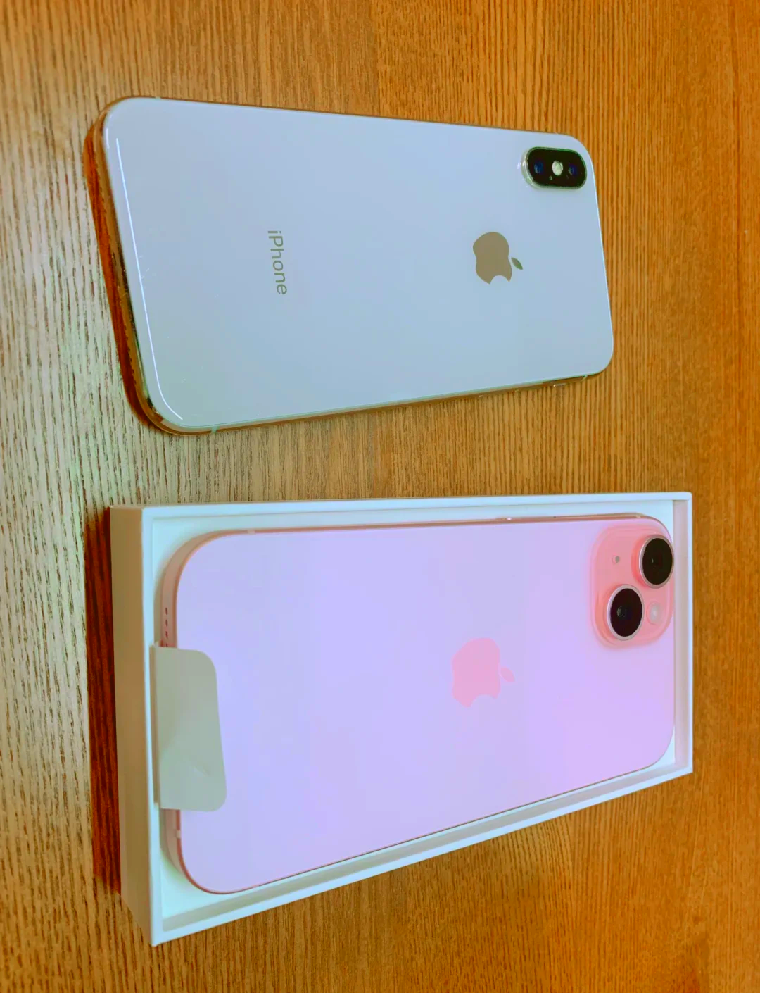 xhsapp苹果版(宠物狗致儿童受惊引纠纷)