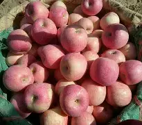 小苹果排练版分解版(小苹果排练版分解版免费下载)-第3张图片-QuickQ官网 小苹果排练版分解版(小苹果排练版分解版免费下载)-第3张图片-QuickQ官网